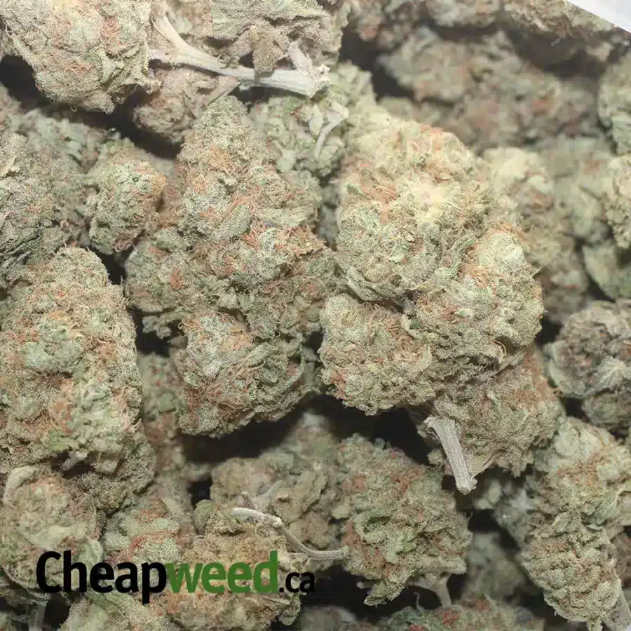 Super Berry - Image 3