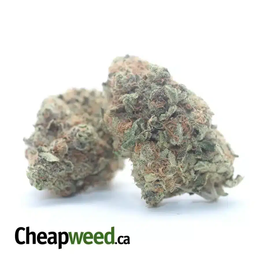 Alternative view of Super Berry
