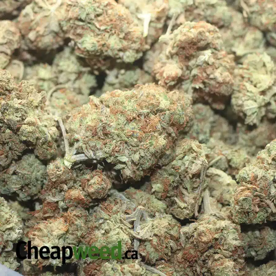 $ 43 Oz - Sweet Diesel - Image 3