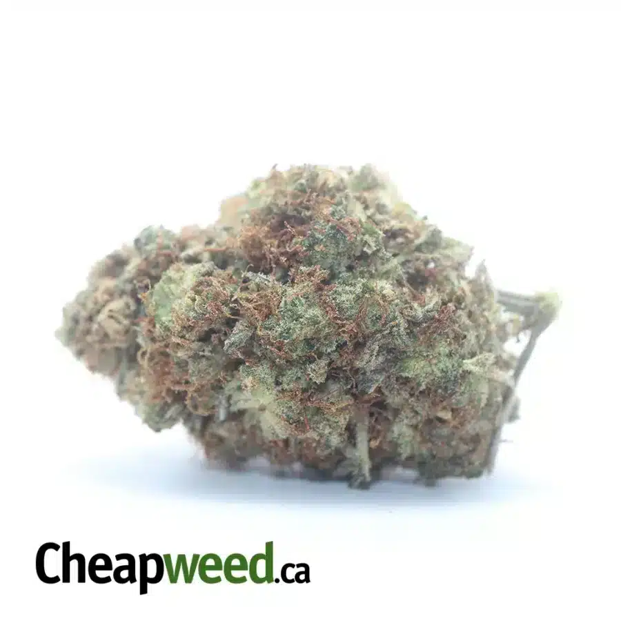 $ 43 Oz - Sweet Diesel