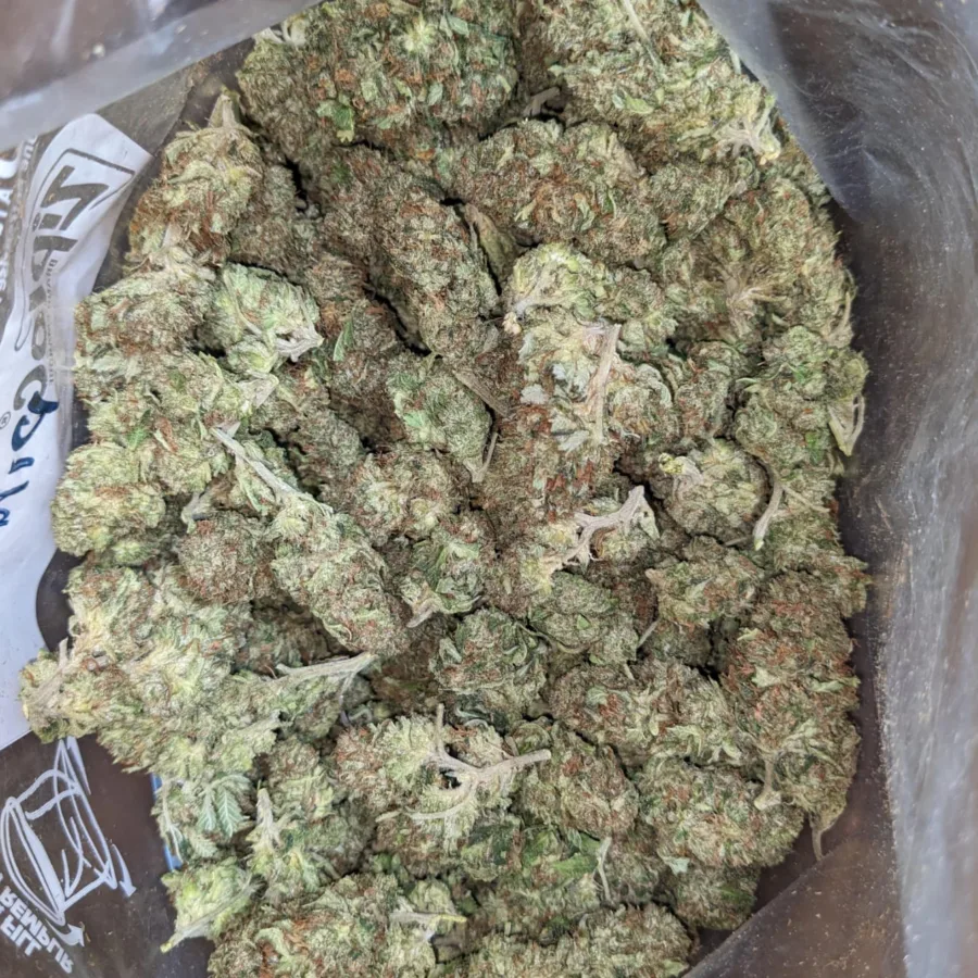 Alternative view of Scrappy Pink Kush