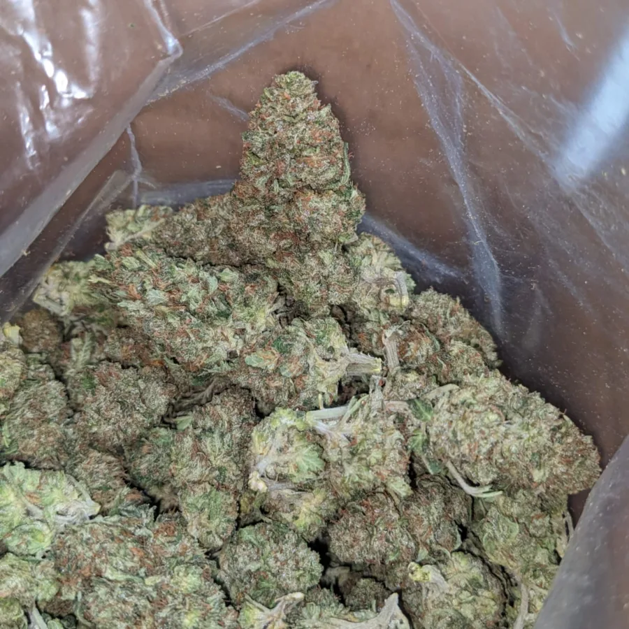 Scrappy Pink Kush - Image 3