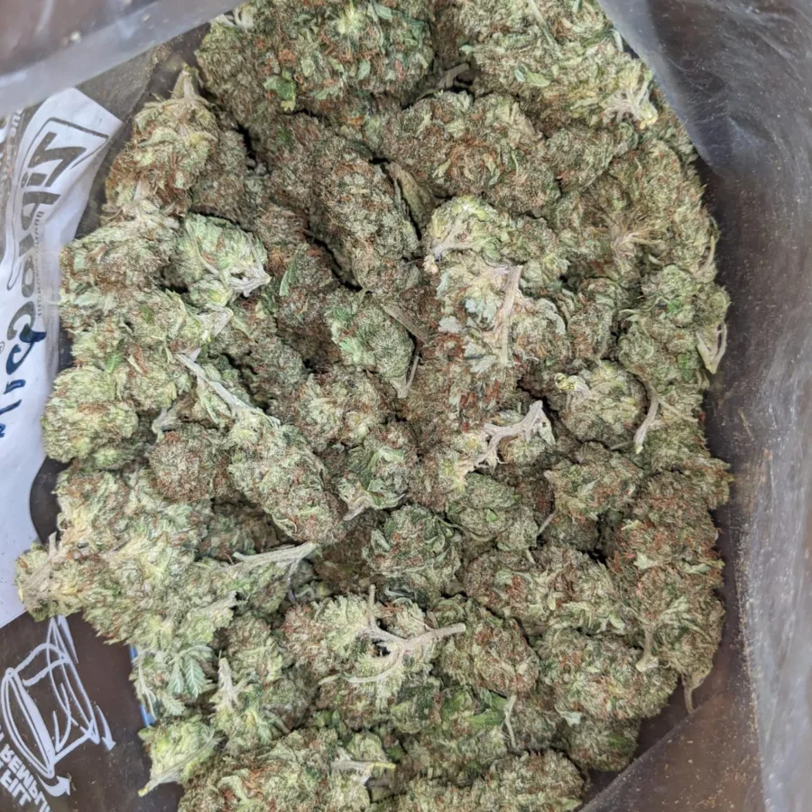 Scrappy Pink Kush