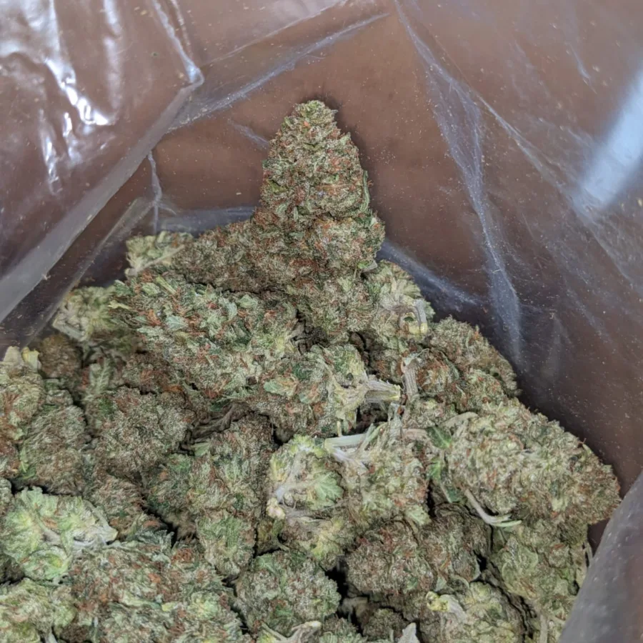 Scrappy Pink Kush - Image 4