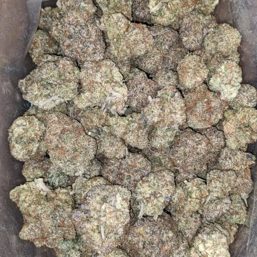 Soda Pop