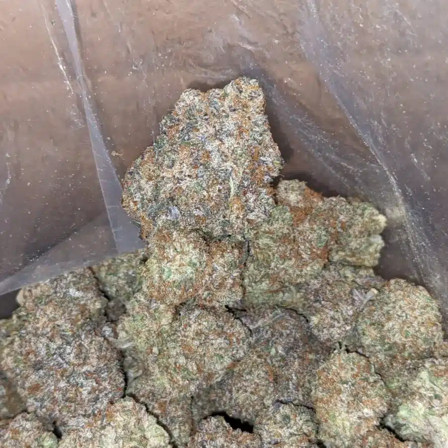 Soda Pop 4 I Soda Pop