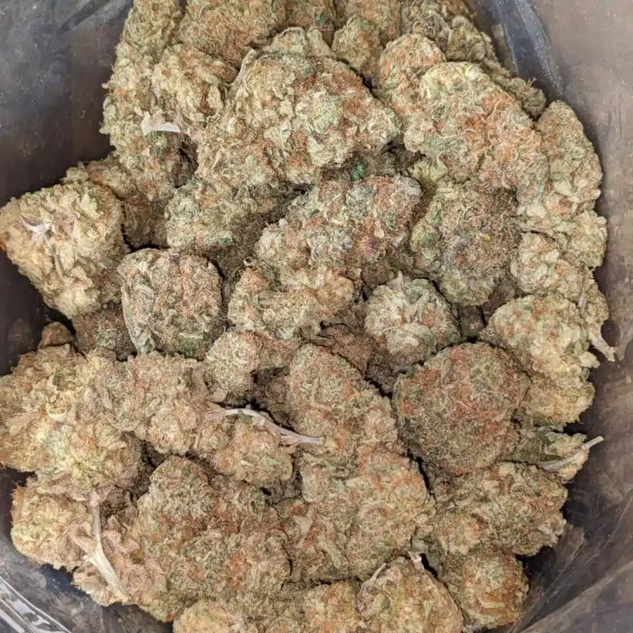 Super Berry
