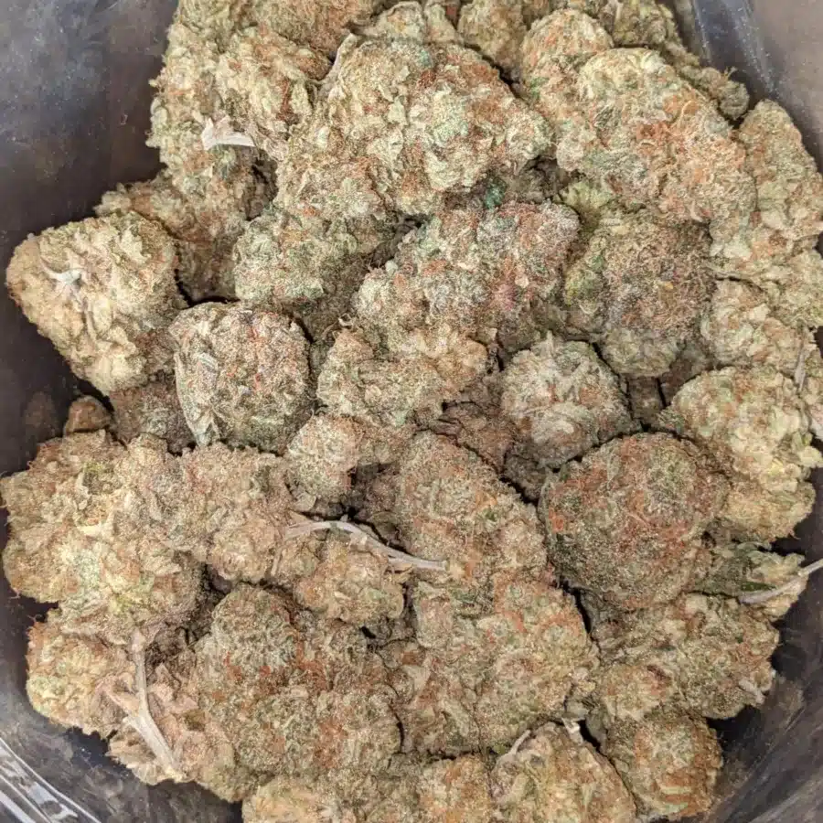 Alternative view of Super Berry