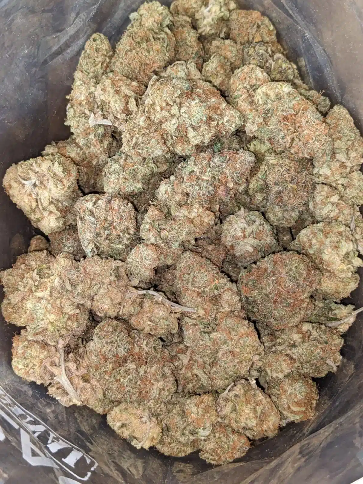 Super Berry - Image 2