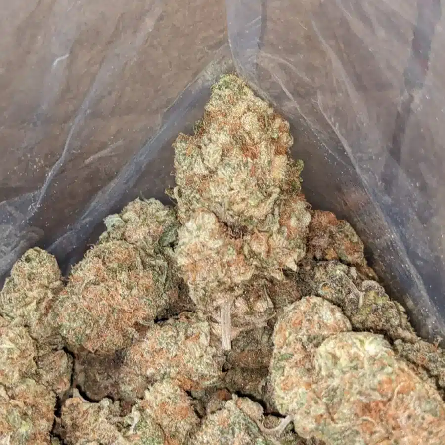 Super Berry 3 I Super Berry
