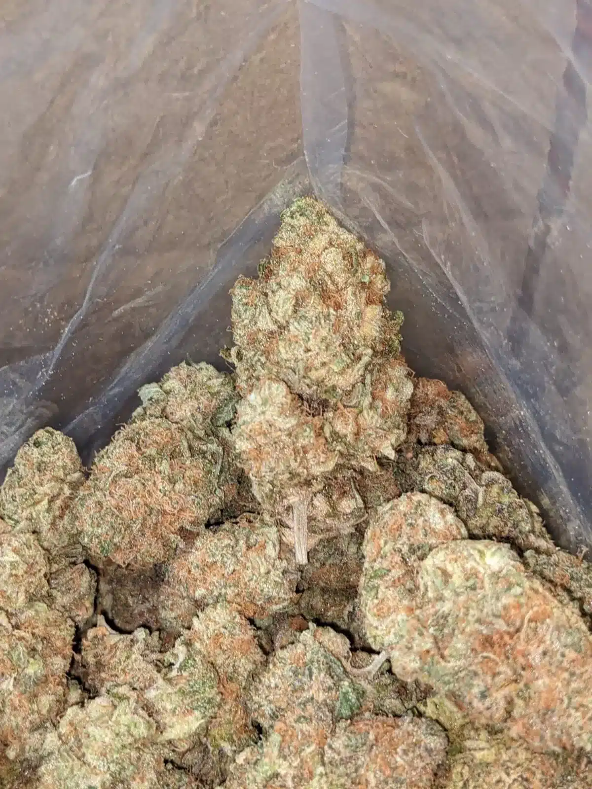 Super Berry - Image 4