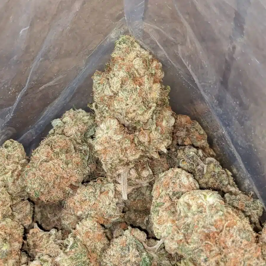 Super Berry 4 I Super Berry