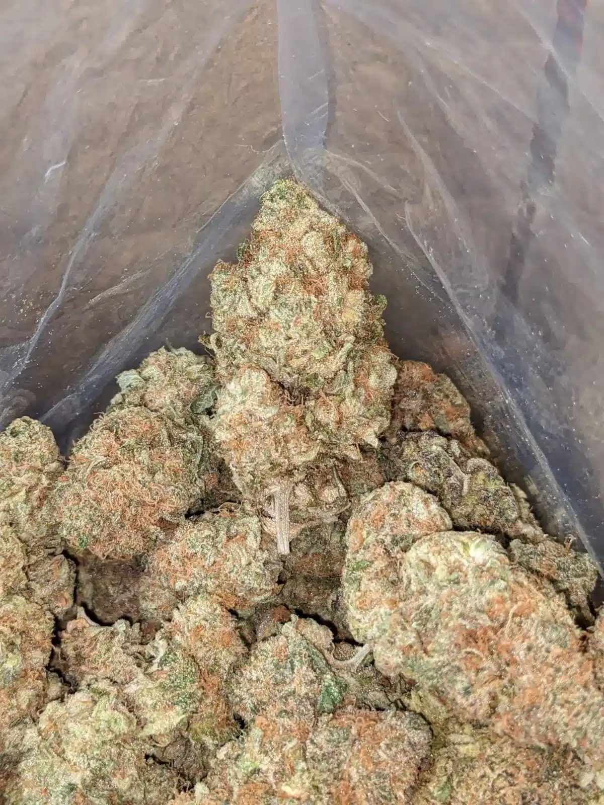 Super Berry - Image 5