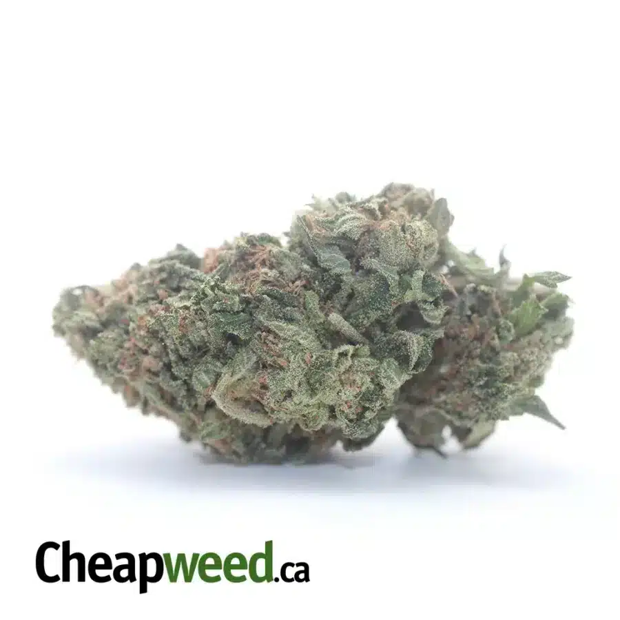 Tony's Death Bubba