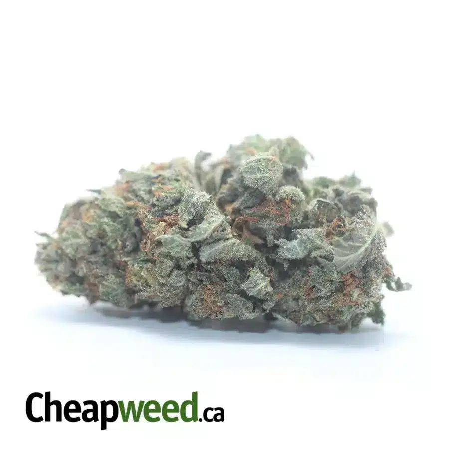 Tony's Tuna Kush