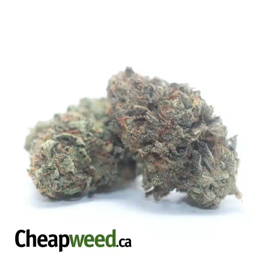 Alternative view of Tony's Tuna Kush