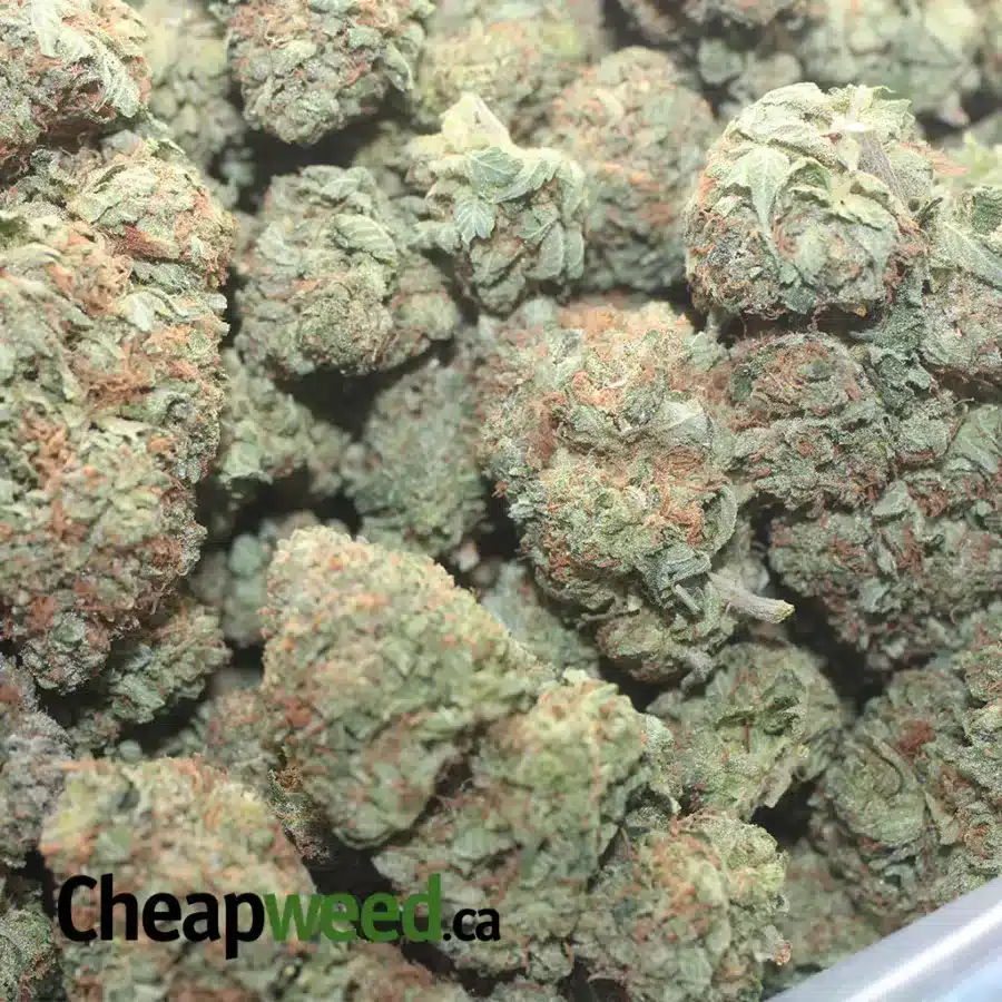 TRAINWRECK 1 I Trainwreck