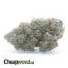 Trainwreck