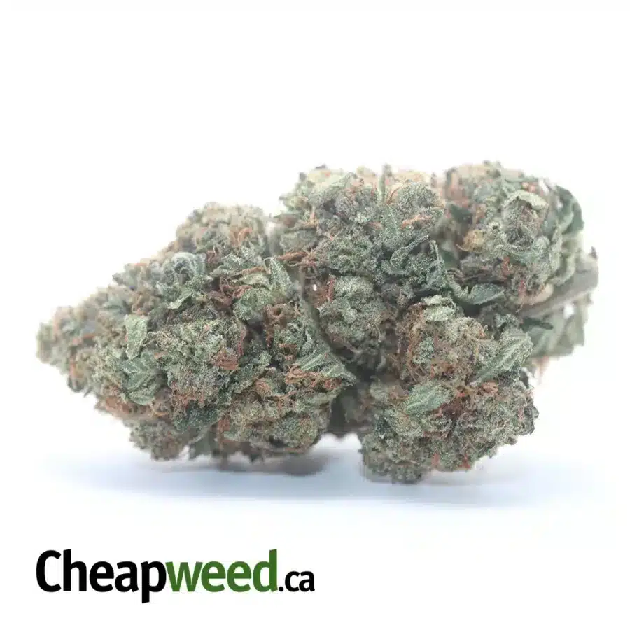Trainwreck