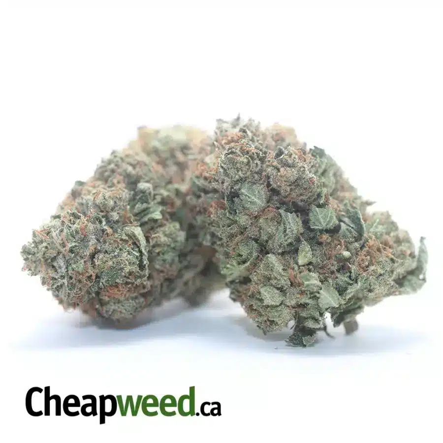 Alternative view of Trainwreck