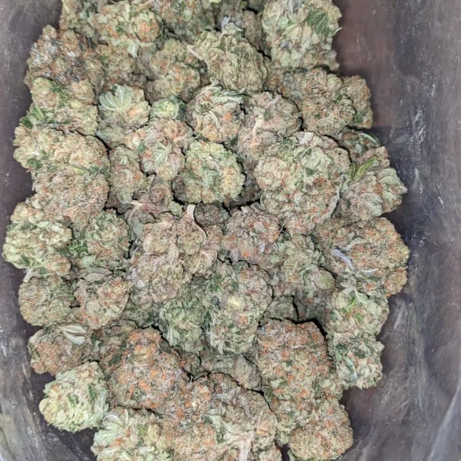 Alternative view of Trainwreck