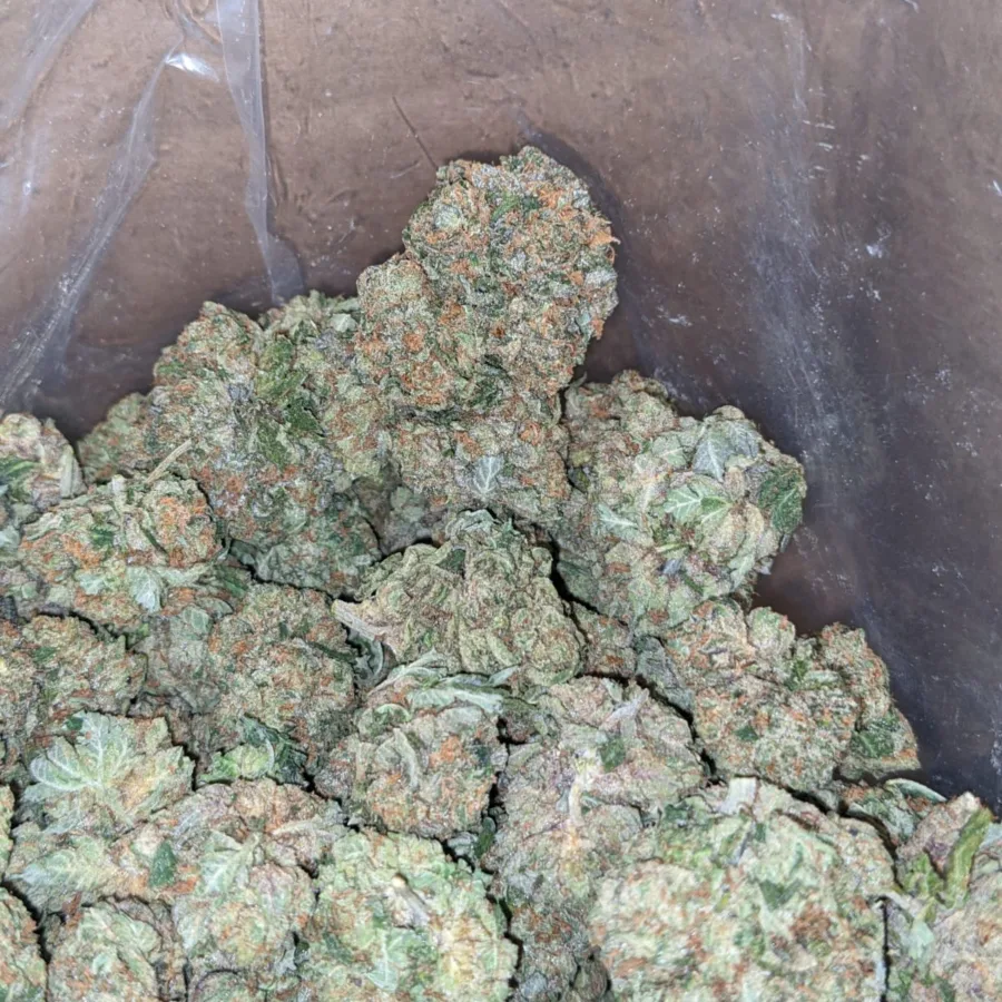 Trainwreck - Image 7