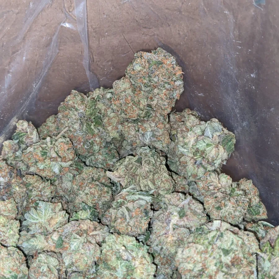 Trainwreck - Image 6