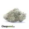 White Cookies