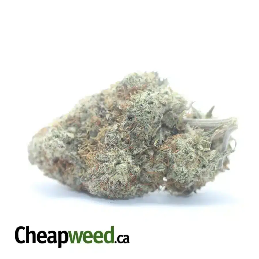 White Cookies