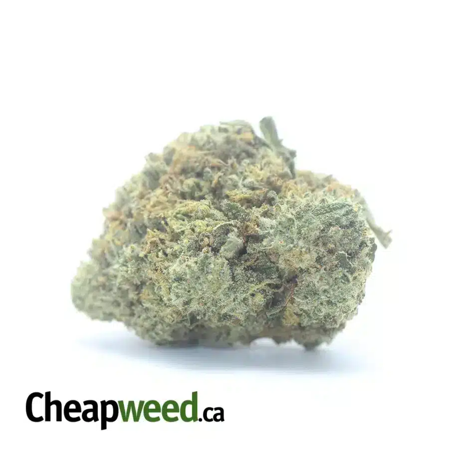 $42oz White Runtz