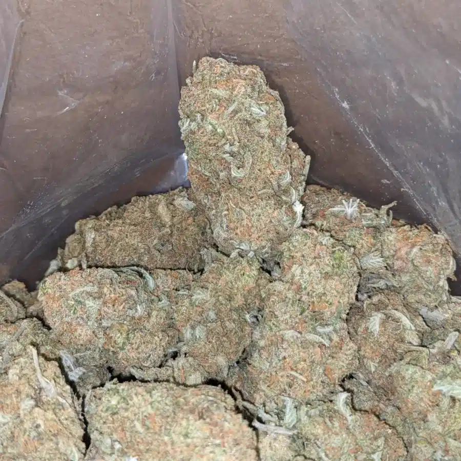 $47 Oz - Sugar Cookies