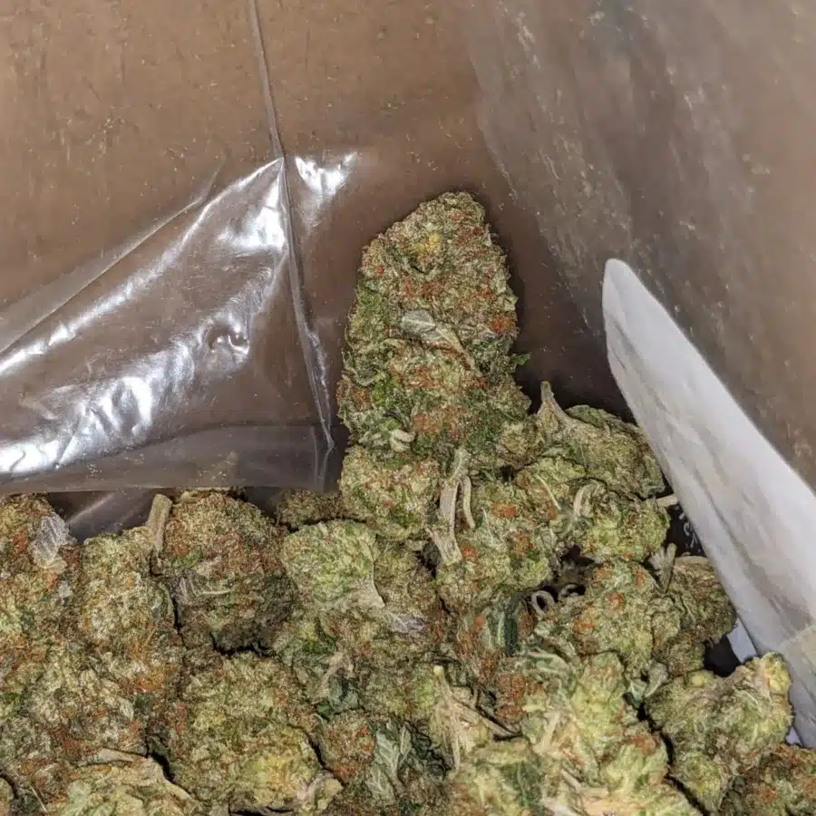 Sticky Pink