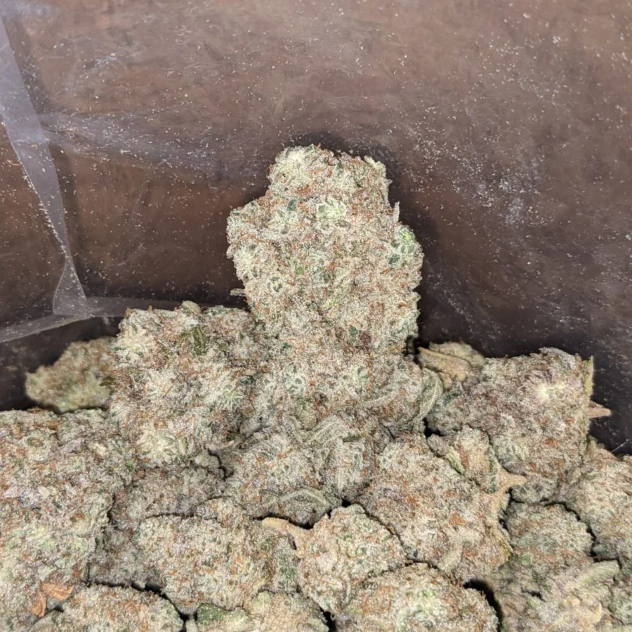 White Cookies - Image 4