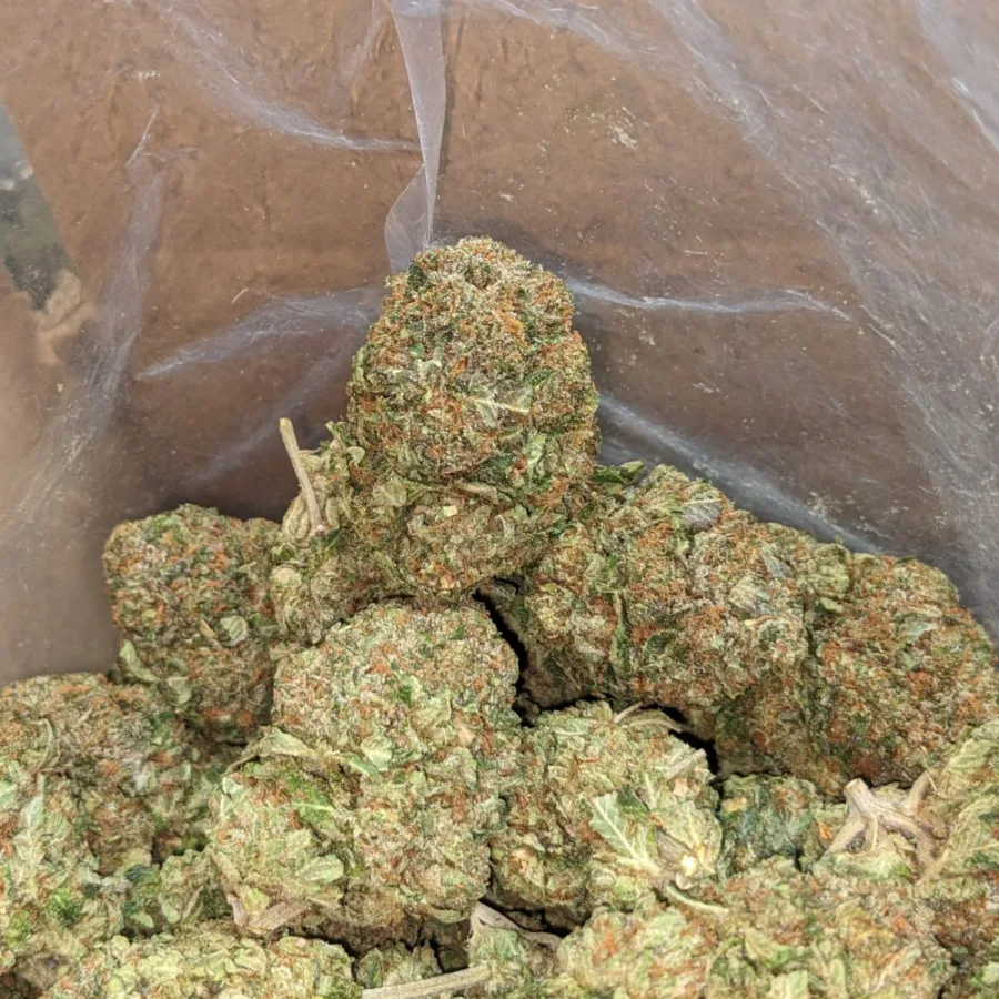 Alternative view of Tony's Death Bubba