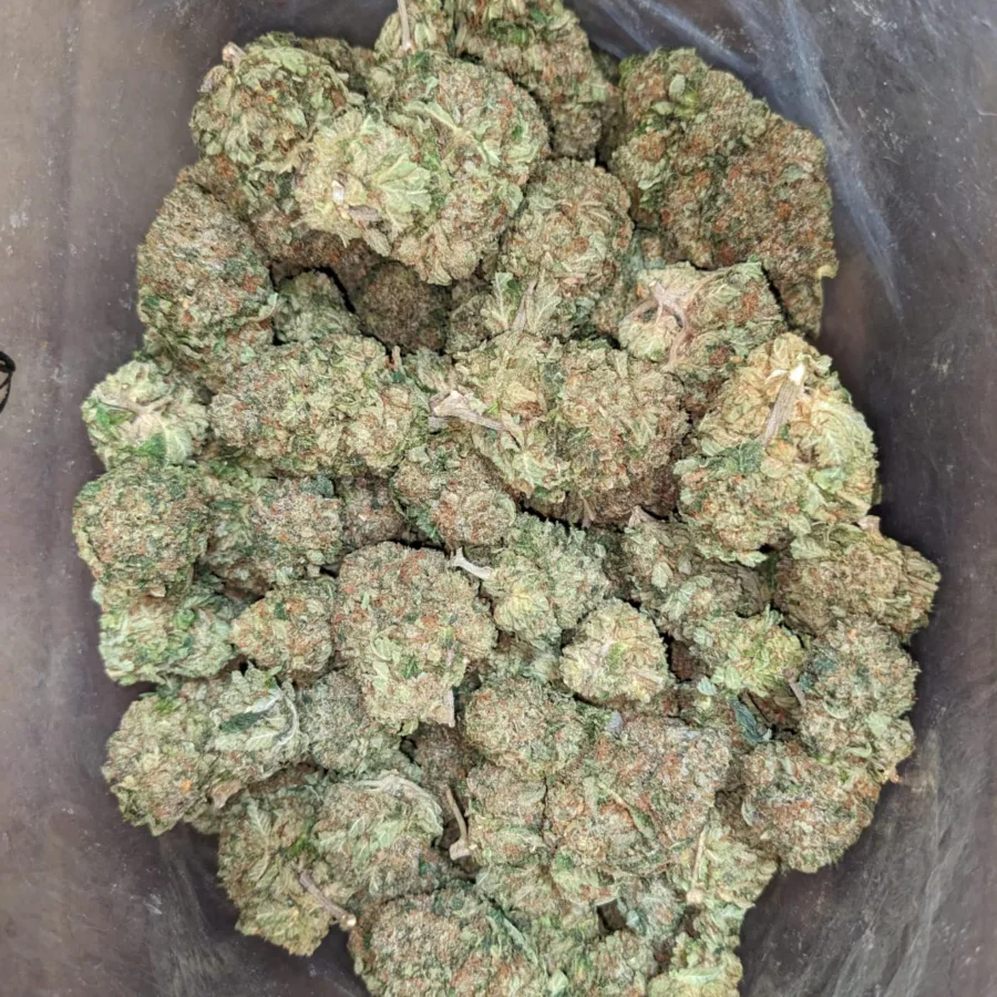 Tony's Death Bubba - Image 7
