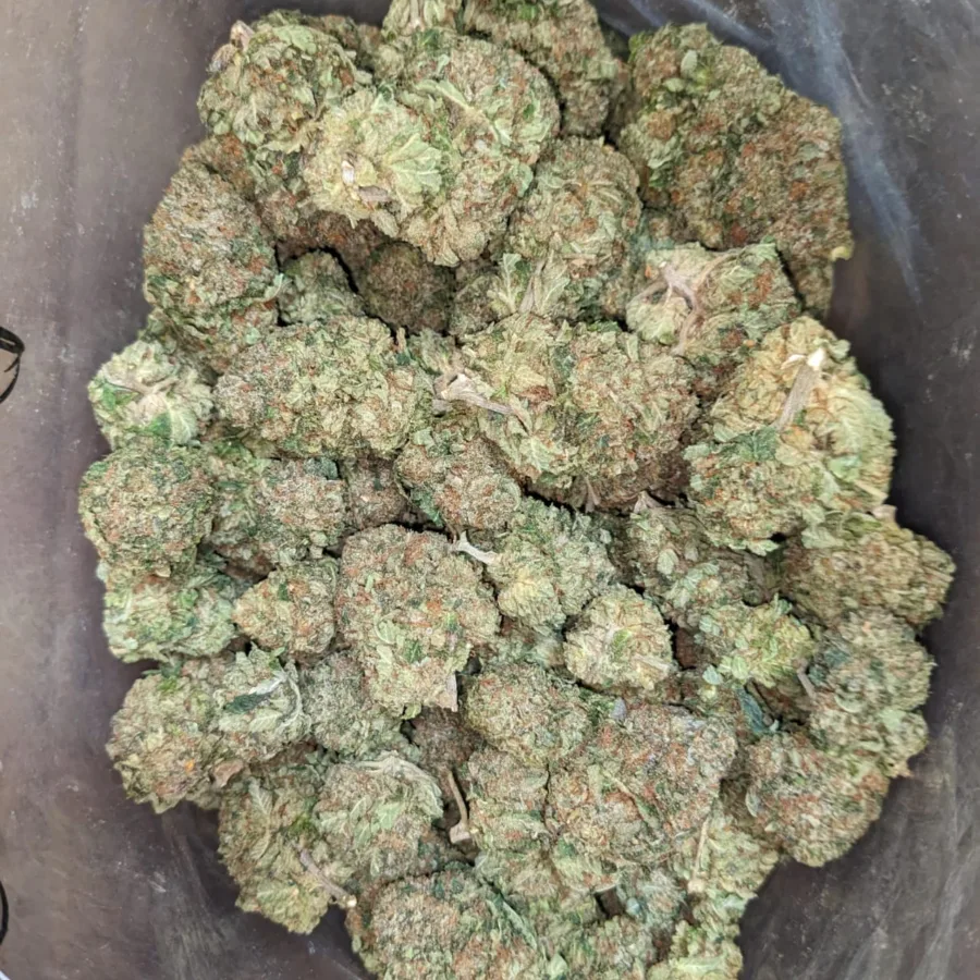 Tony's Death Bubba
