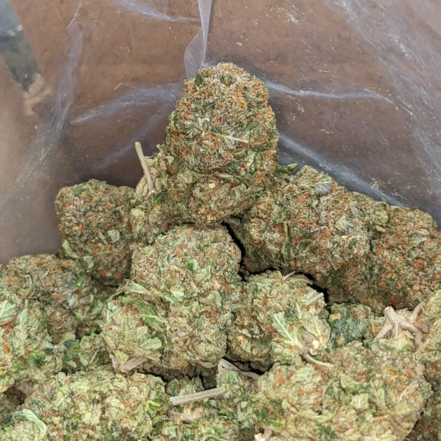 Tony's Death Bubba - Image 5