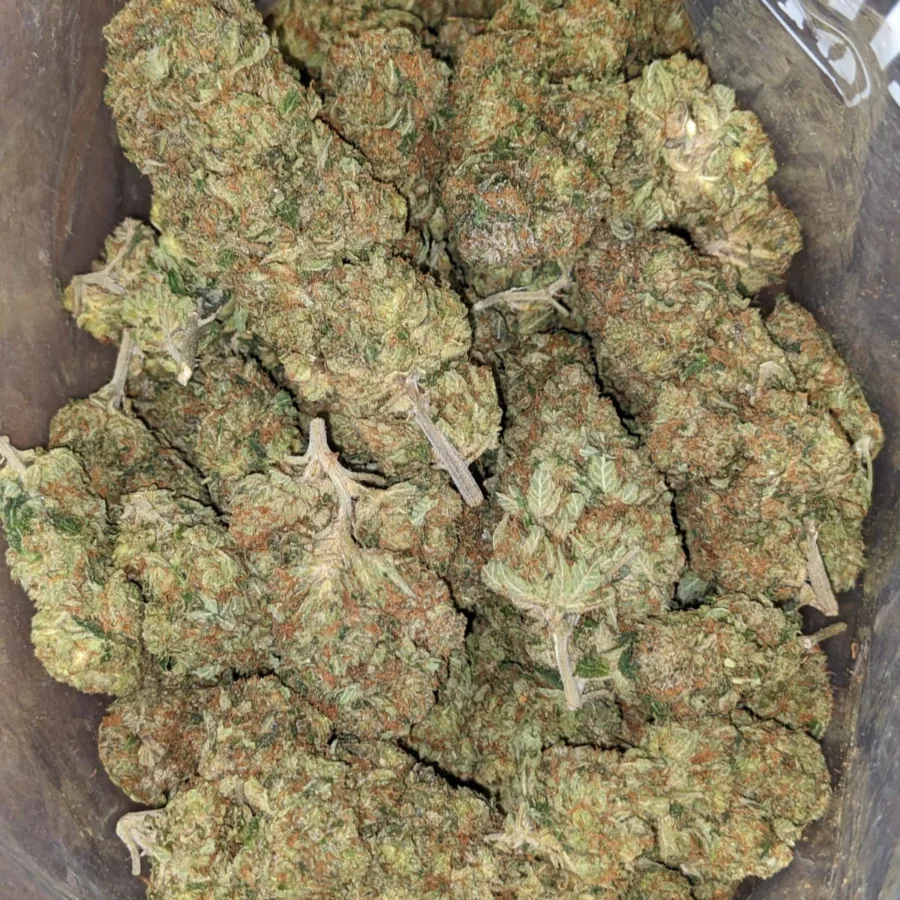 Tony's MK Ultra