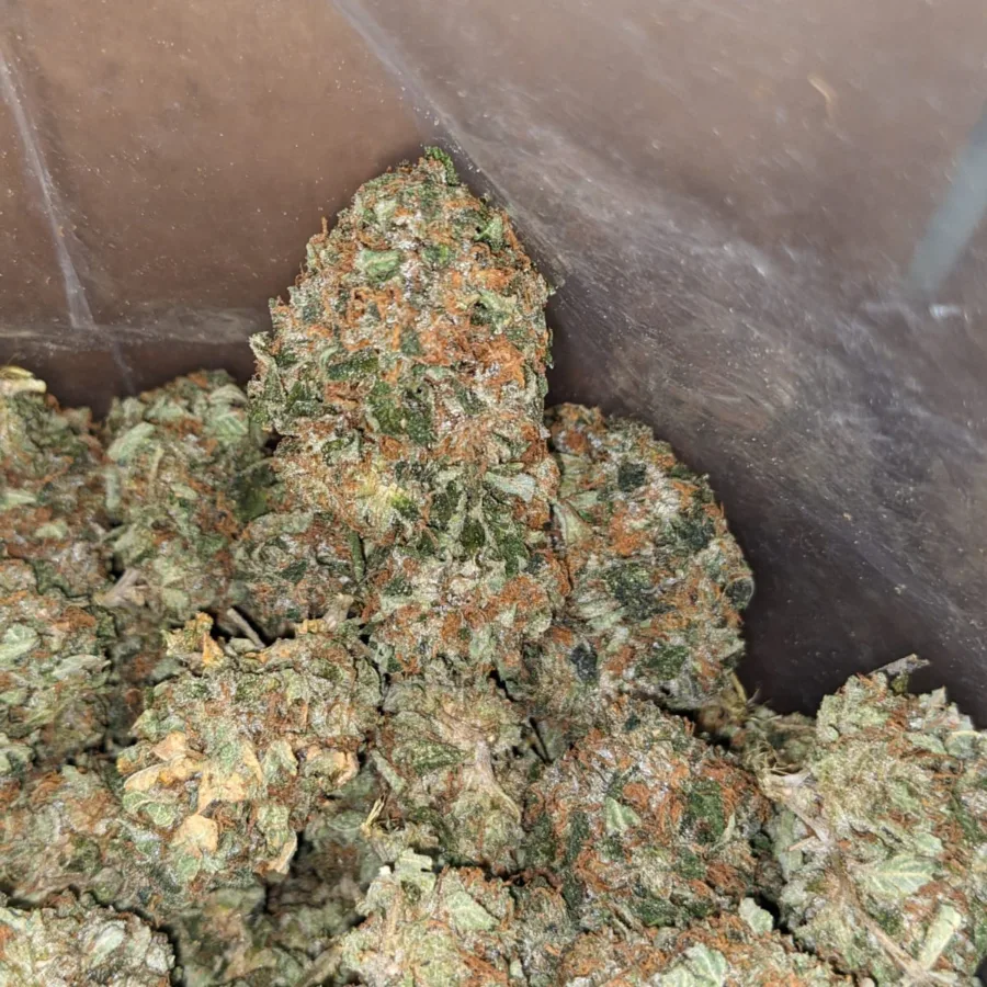 $47oz Pink OG - Image 4