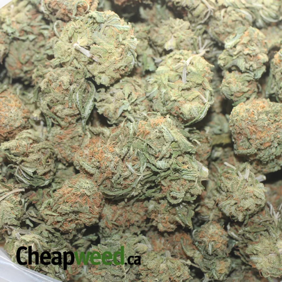$45 Oz - Blue Heron - Image 3