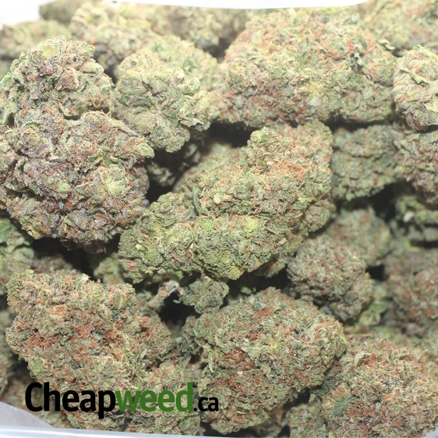 Bubba Kush - Image 3