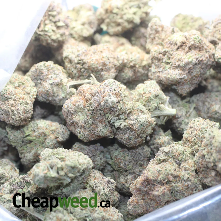 Cap Junky - Image 3