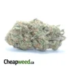 Chem 91