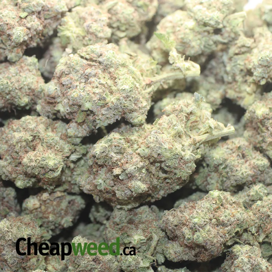 Cherry Bomb - Image 3