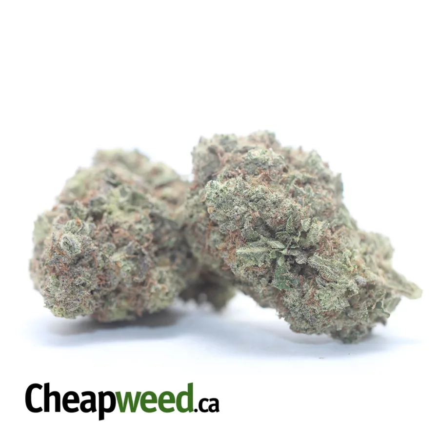 Alternative view of Cherry Bomb