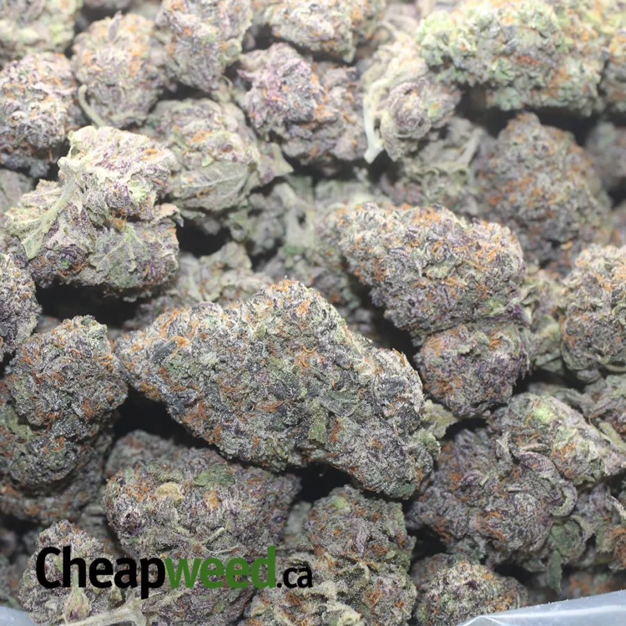 Cherry Punch - Image 3