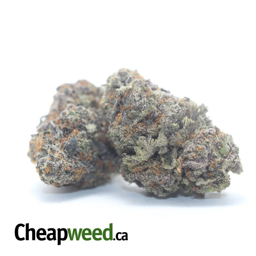 Alternative view of Cherry Punch