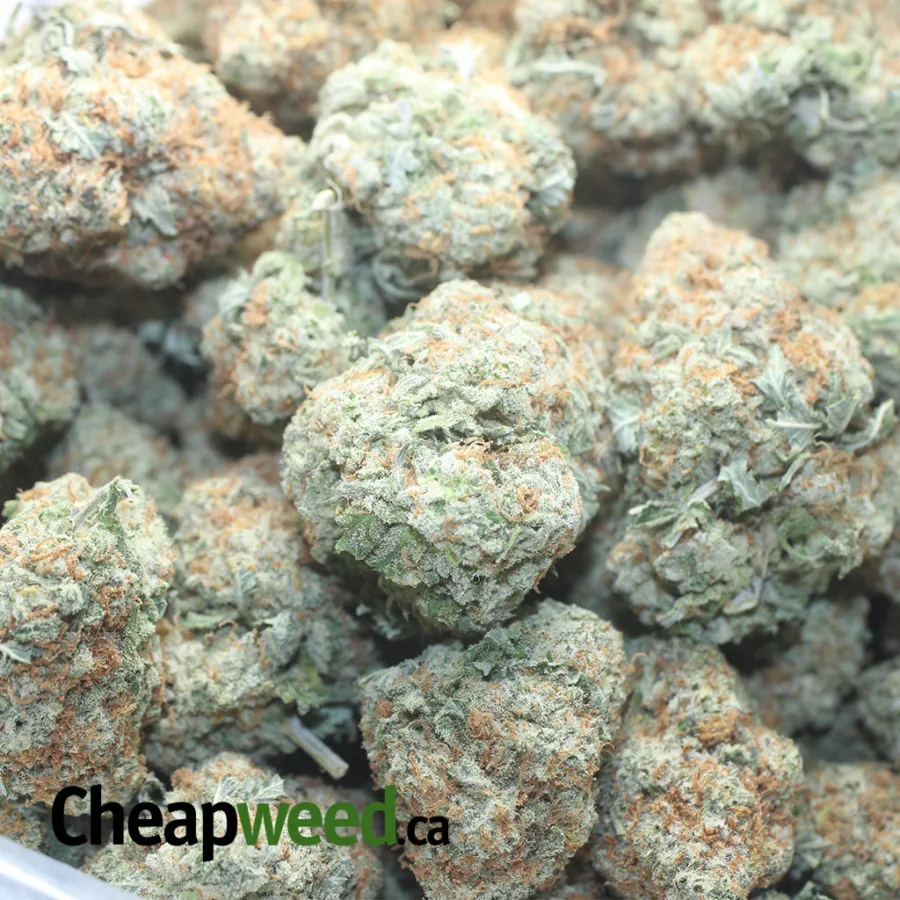 Double OG - Image 3