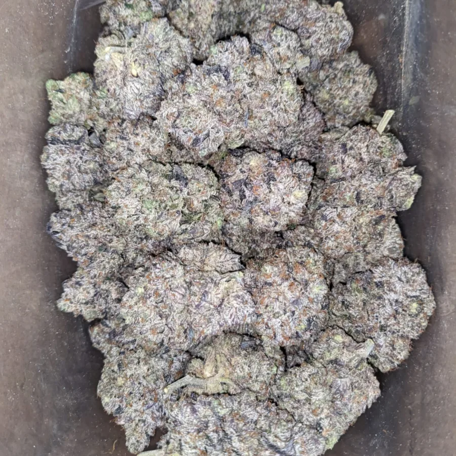 Death Bubba AAAA - Image 5