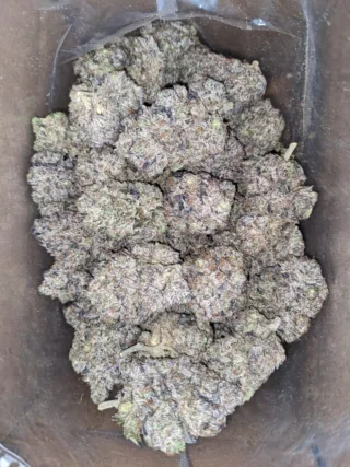 Death Bubba AAAA (4) Death Bubba AAAA 4 I Legacy
